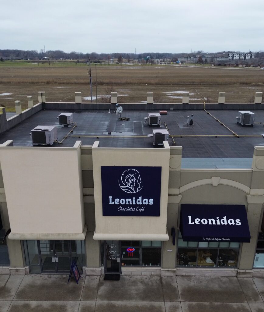 Leonidas-1